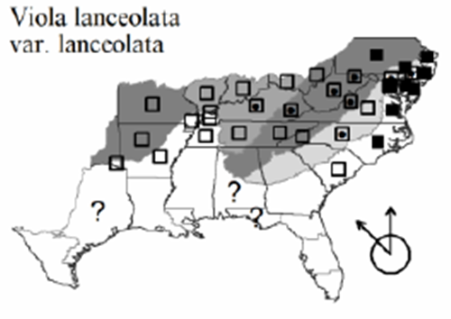 The range of Viola lanceolata var. lanceolata